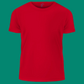 Short Sleeve T-shirt (RED)